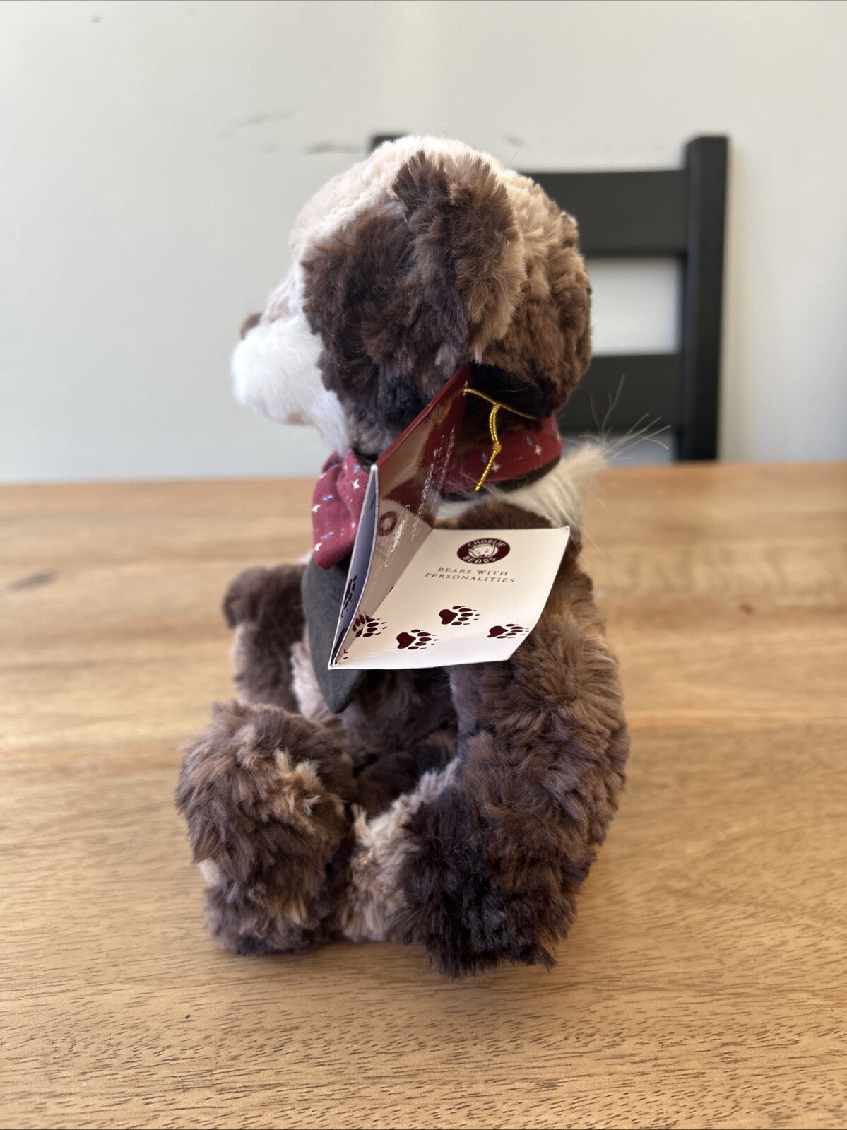 Charlie Bears Damon, 10.5", from 2021 Cuddle Time Exclusive - Image 6
