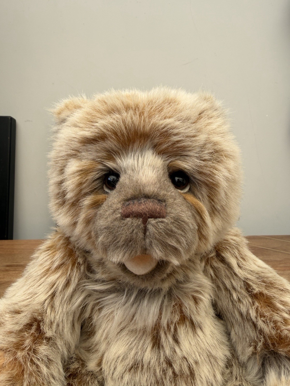 Charlie Bears - Chatterbox - CB171847 - Image 9