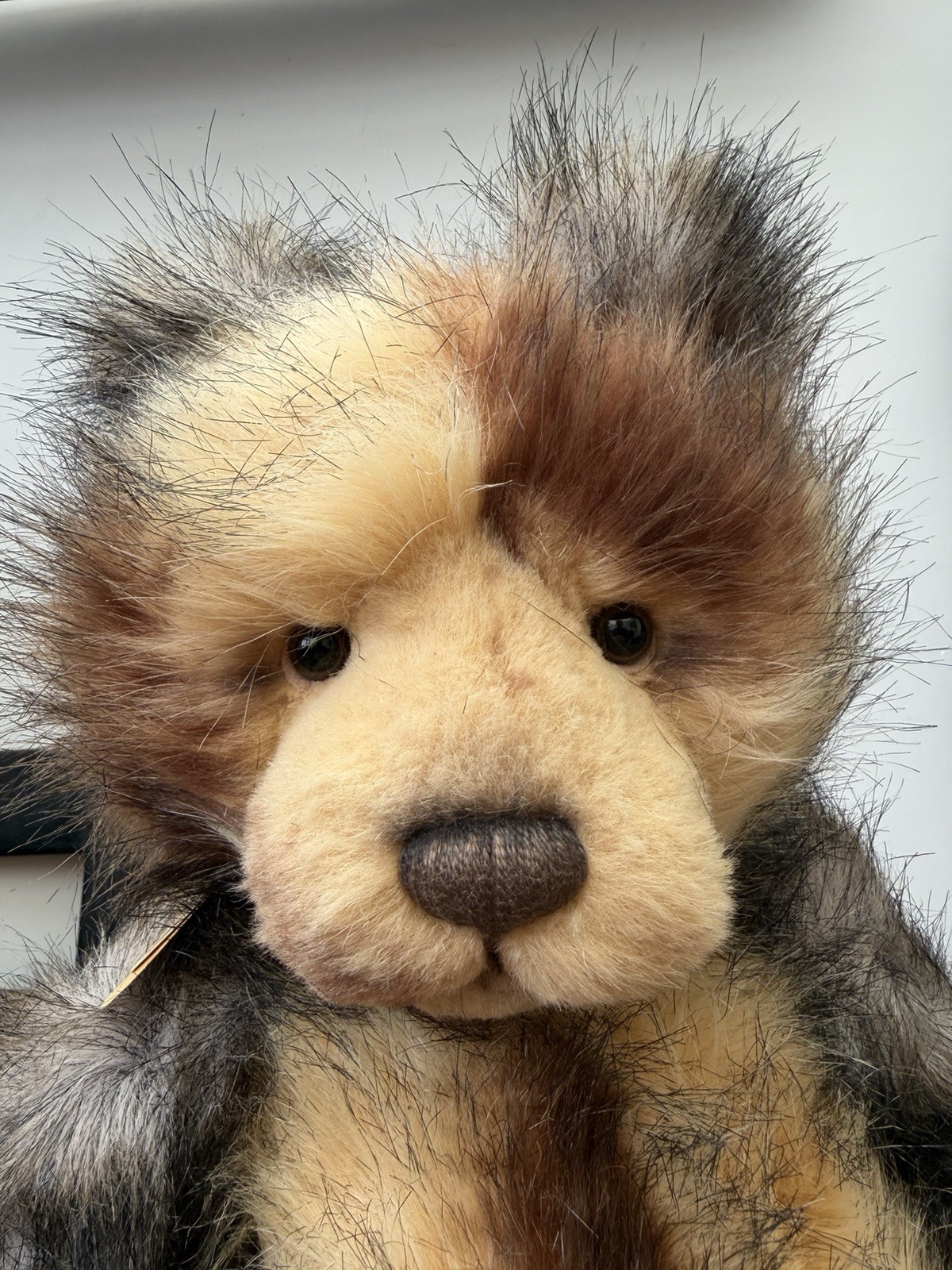 Retired Charlie bear Lincoln 56cm 2011 Secret collection Isabelle Lee - Image 9