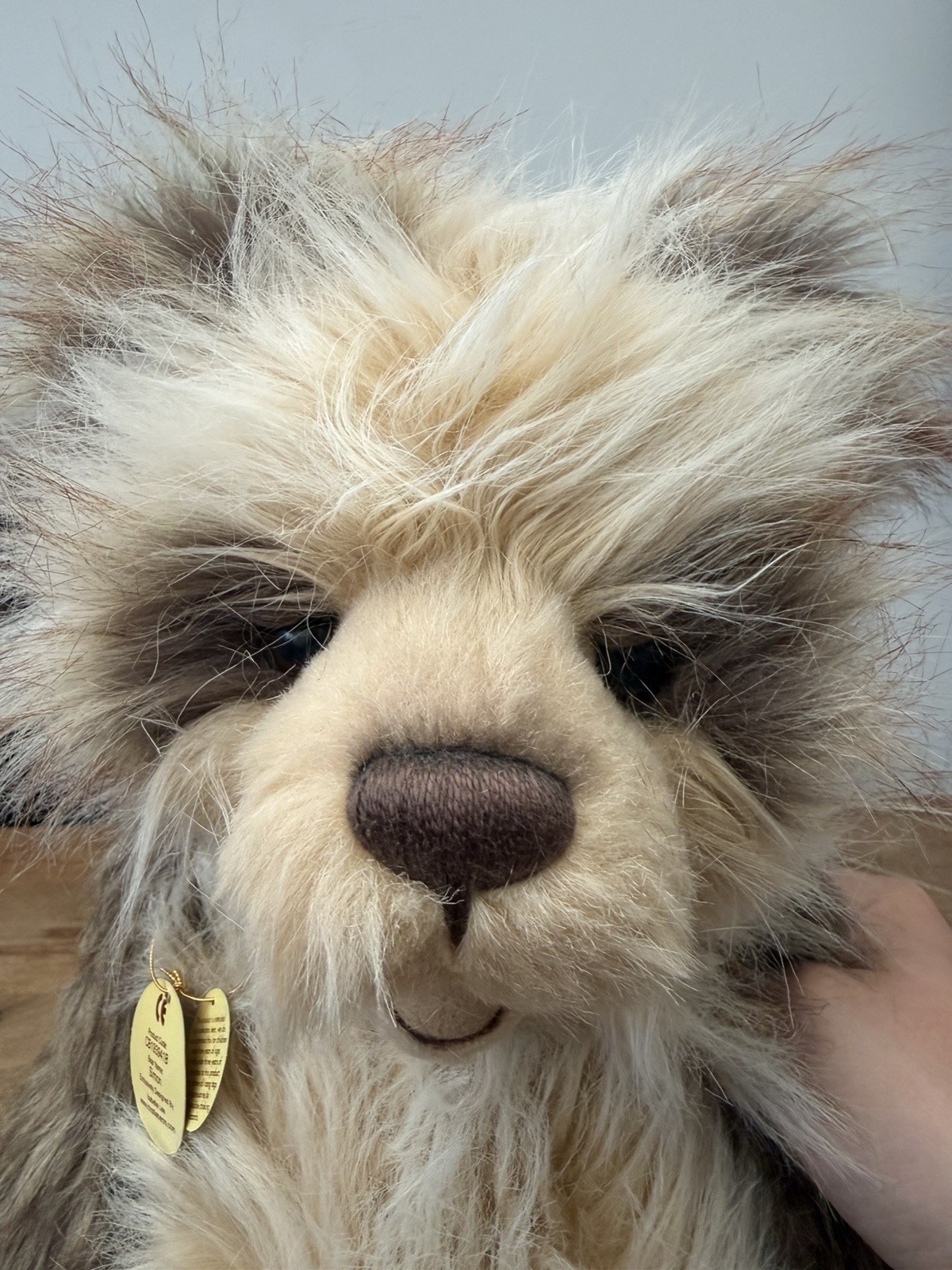 Charlie Bears Simon Retired Collectible Teddy Bear Displayed with tags - Image 7