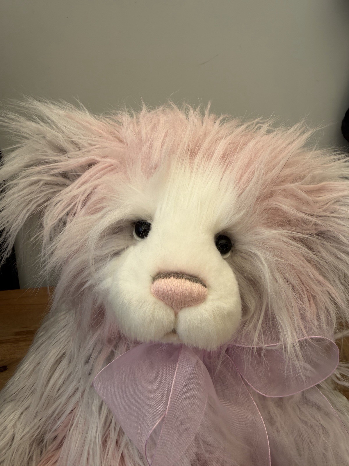 Charlie Bears Miranda Plush Teddy Bear 2022 Collection with Tags Retired - Image 9