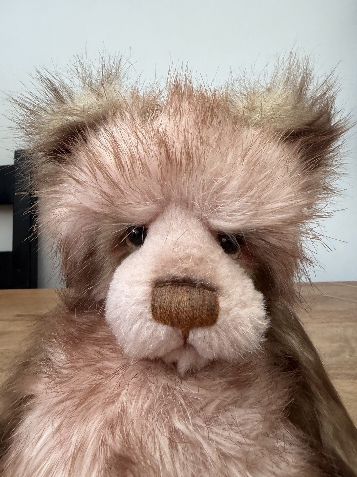 Charlie Bear Kirsty CB 614847A - Image 2