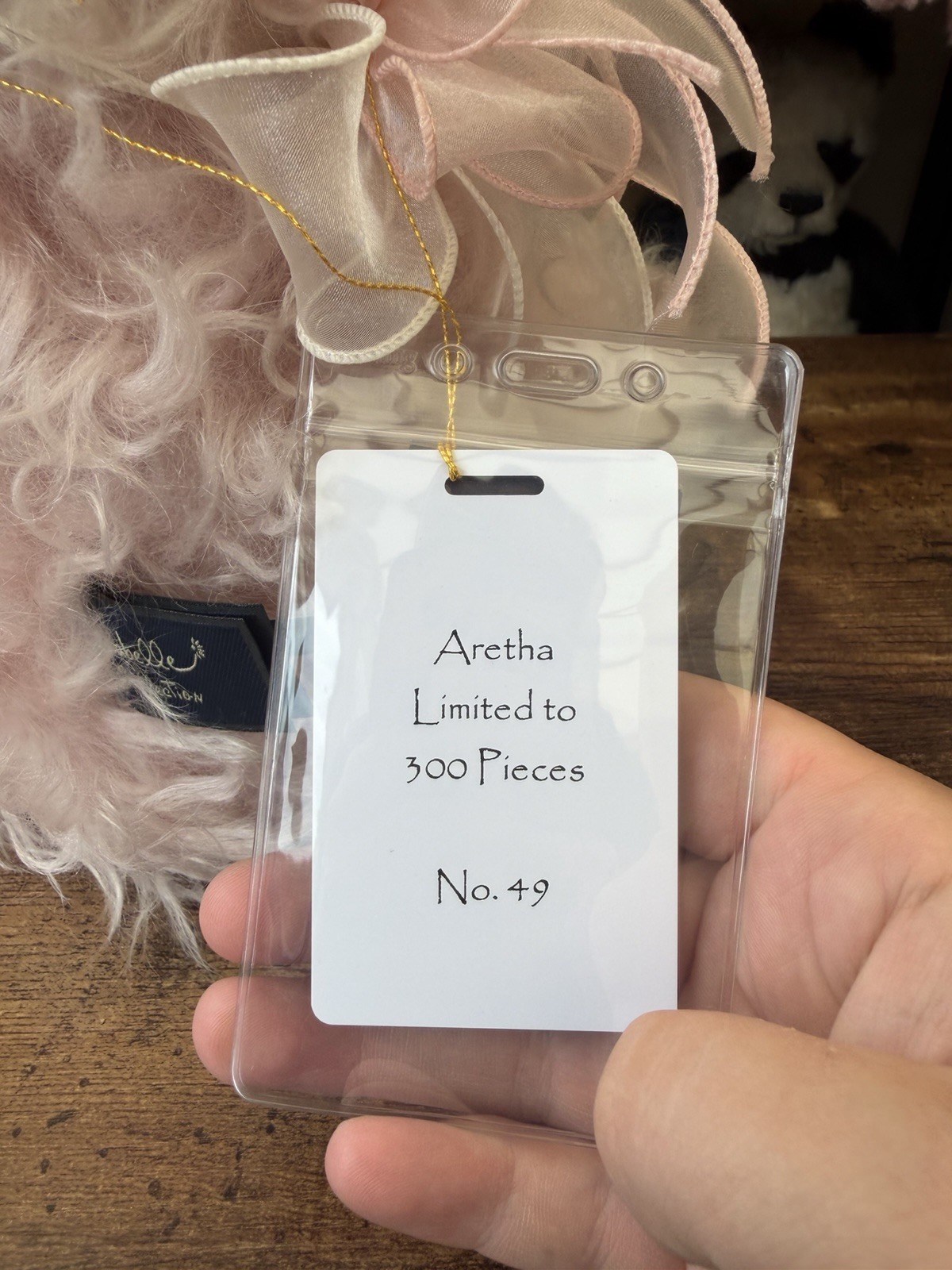 Aretha Ltd No 49 By Charlie Bears SJ6238 - Image 6