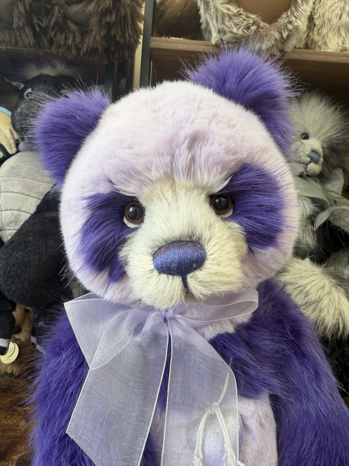 Charlie Bears Plumo Teddy Bear Panda - Parma Violet - Limited Edition To 300 - Image 3