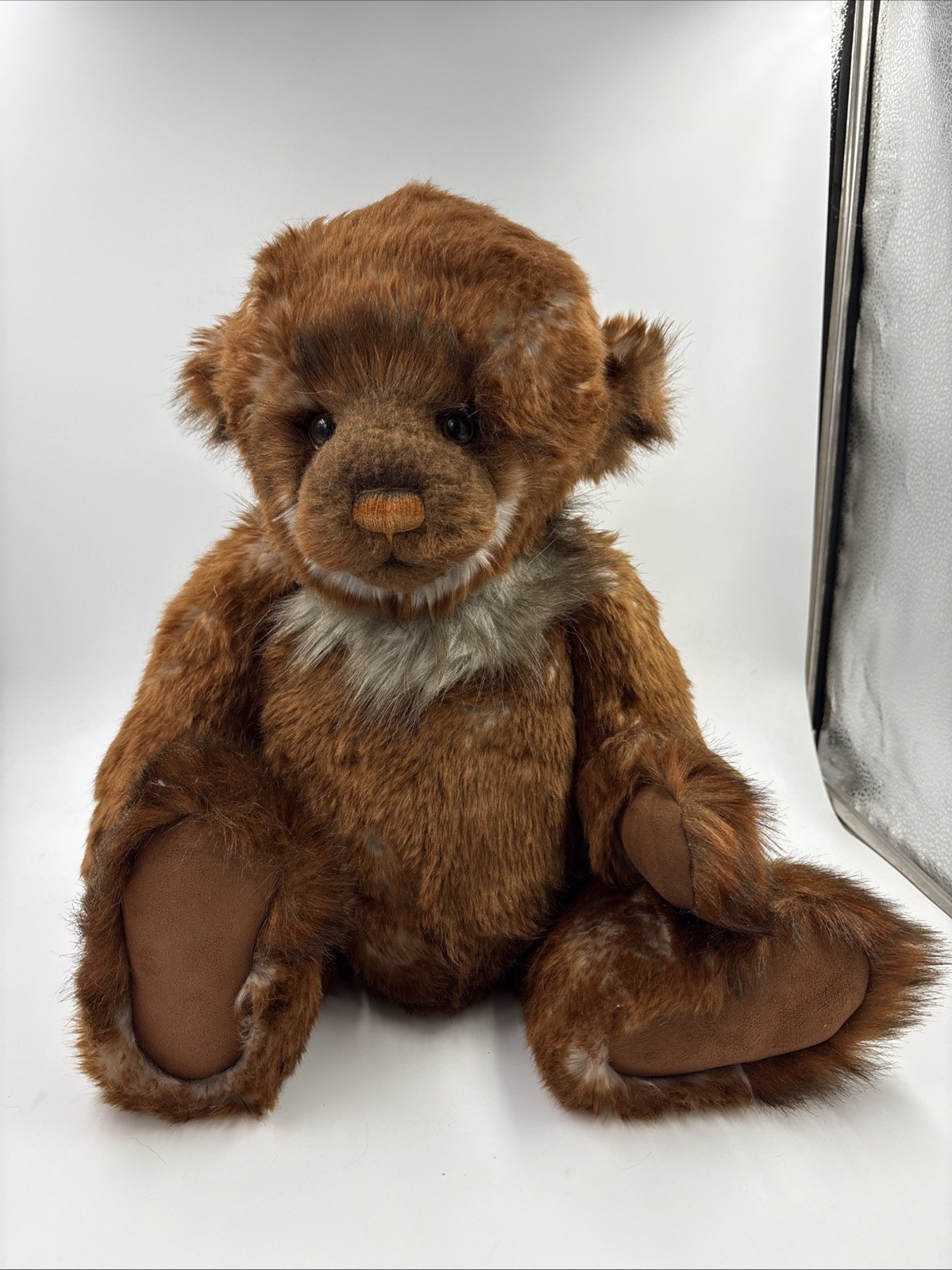 Charlie Bear Walter No Tags