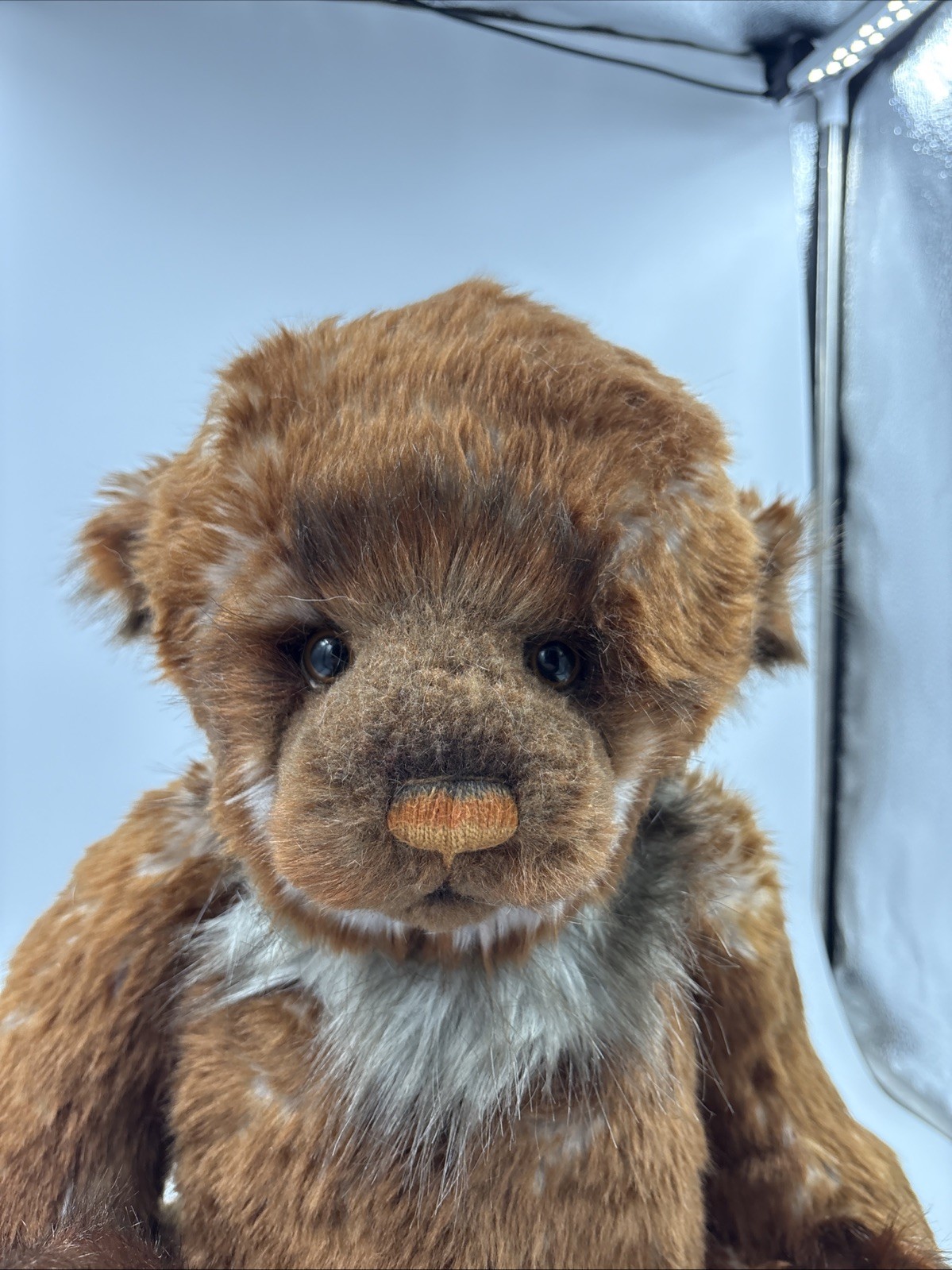 Charlie Bear Walter No Tags - Image 8