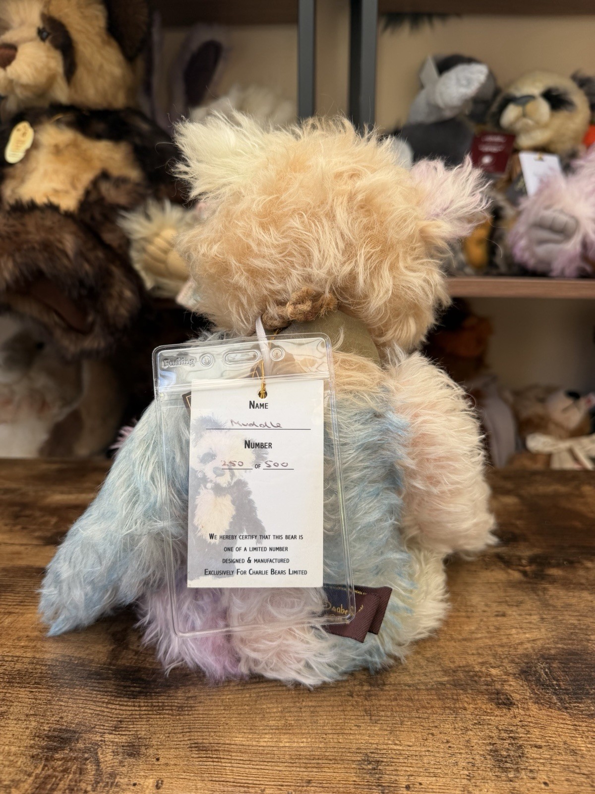Charlie Bears Muddle Isabelle Collection Bear Limited Edition 2011 250/500 - Image 7