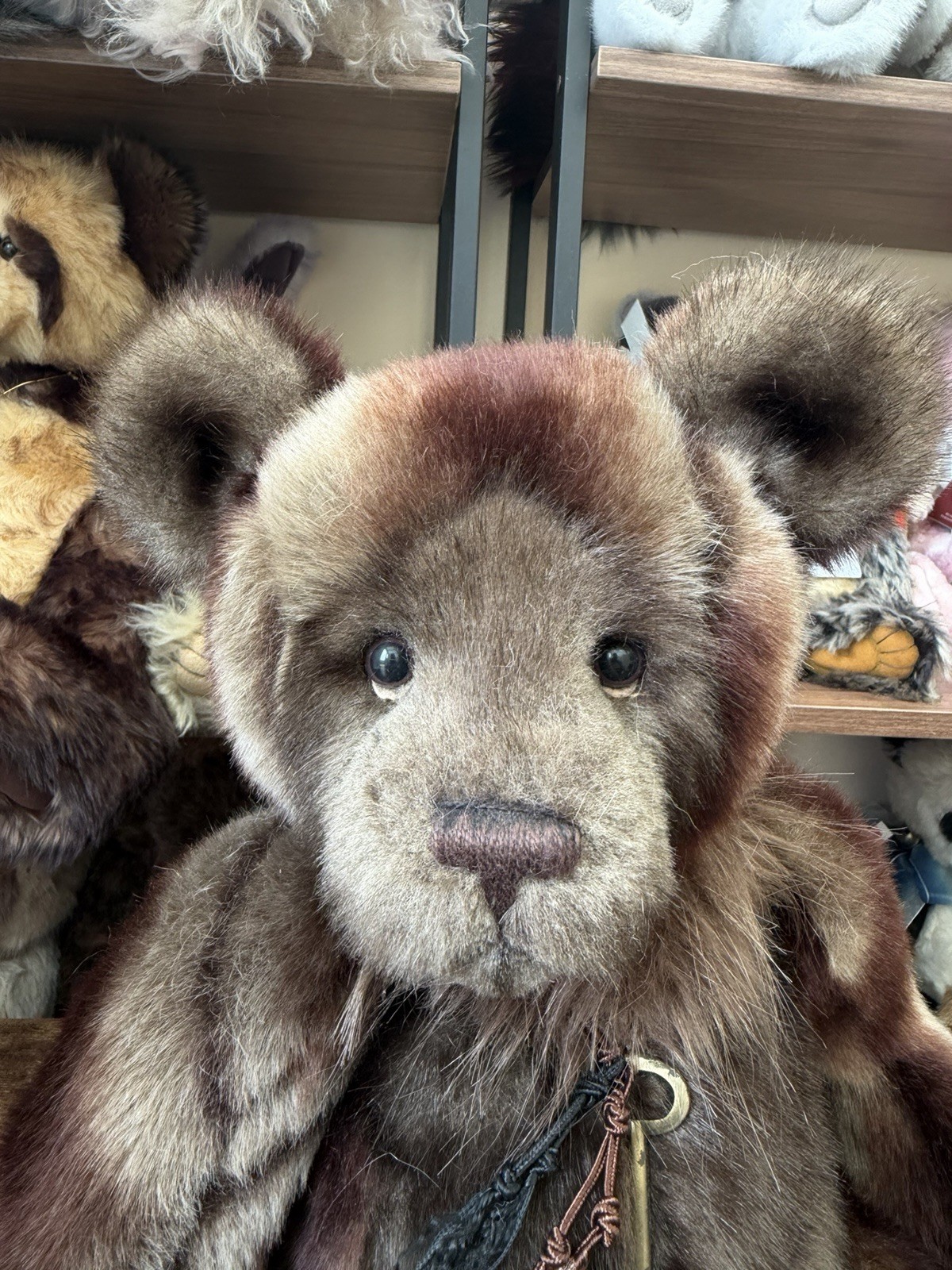 Retired Charlie bear Shane 50cm 2018 collection Isabelle Lee - Image 2