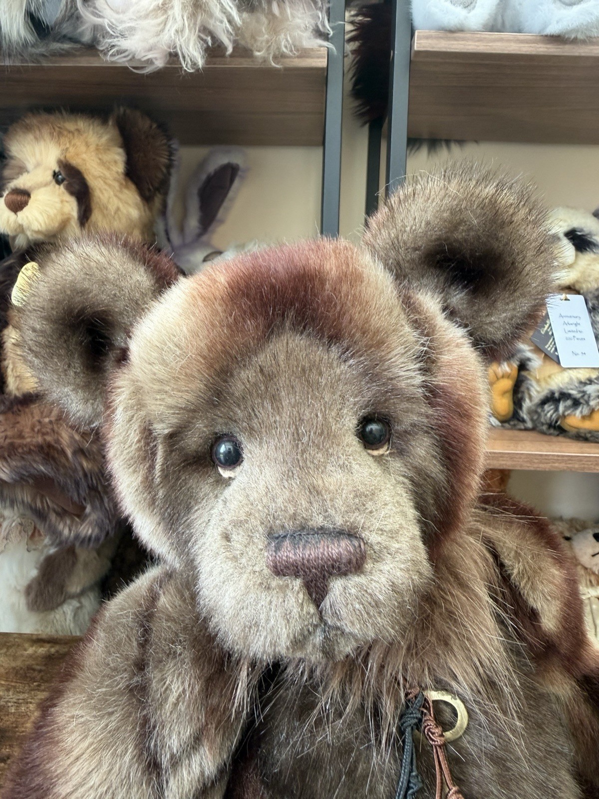 Retired Charlie bear Shane 50cm 2018 collection Isabelle Lee - Image 9