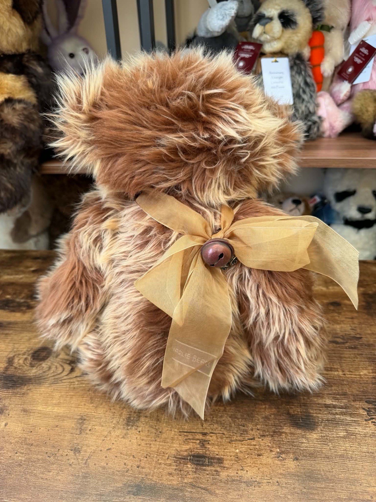 Charlie Bears Howard, 46cm, retired, 2012 collection - Image 6