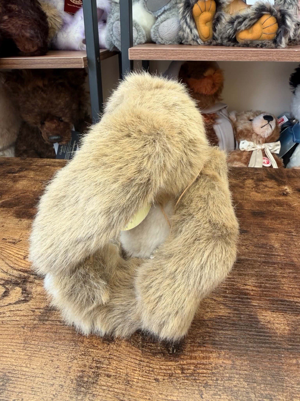Charlie Bears Bramble - CB083838 with tag - Image 5