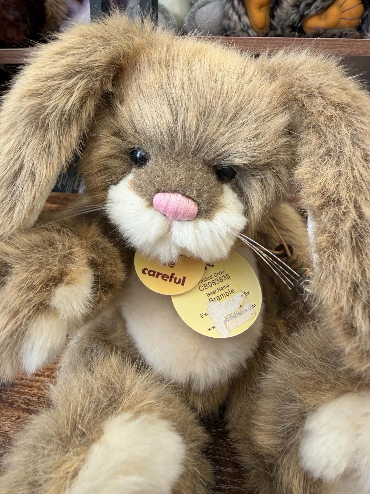 Charlie Bears Bramble - CB083838 with tag - Image 6