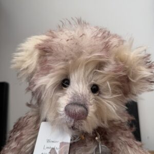Charlie Bears WOWZER Isabelle Collection Ltd Ed 238 of 400