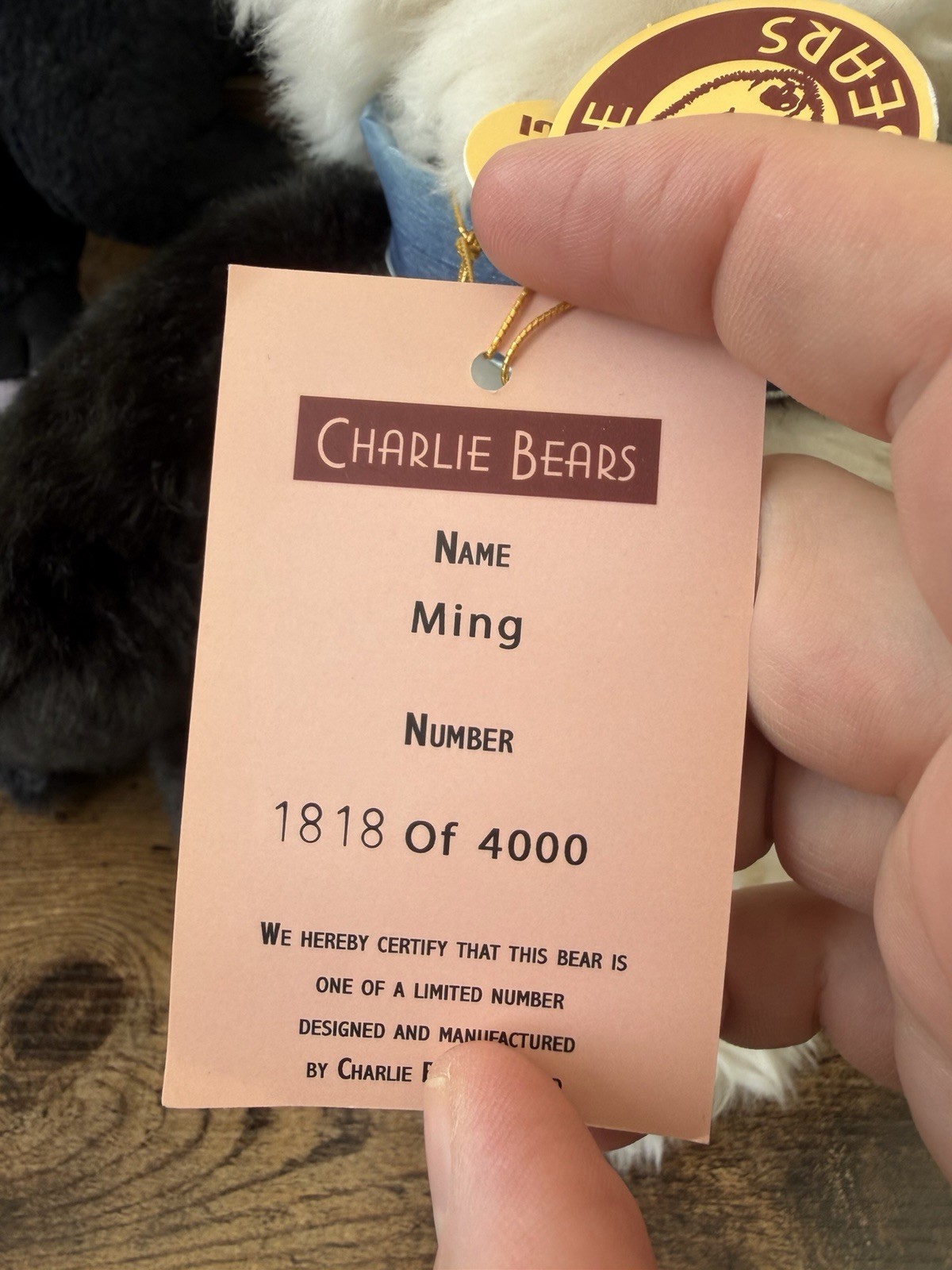 Charlie Bears MING Bear - Limited Edition - Image 5