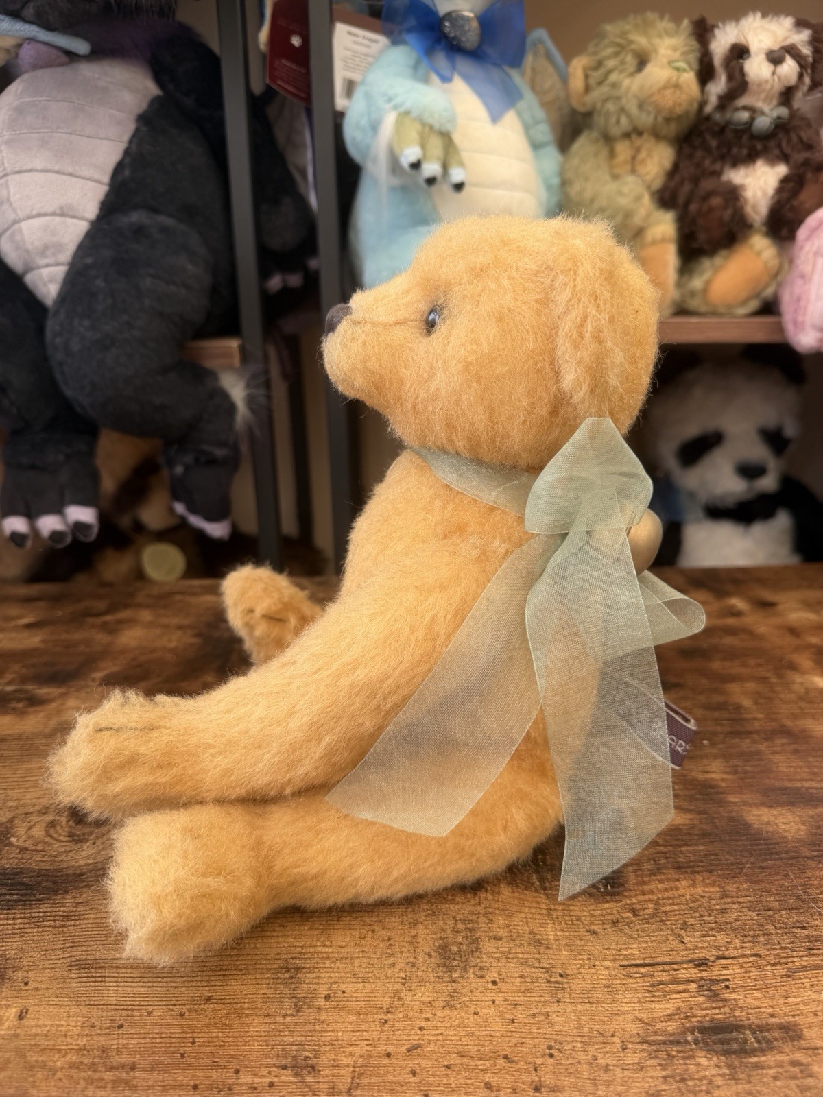Retired Charlie bear Jay 34cm 2009 collection Marjan Jorritsma. - Image 6