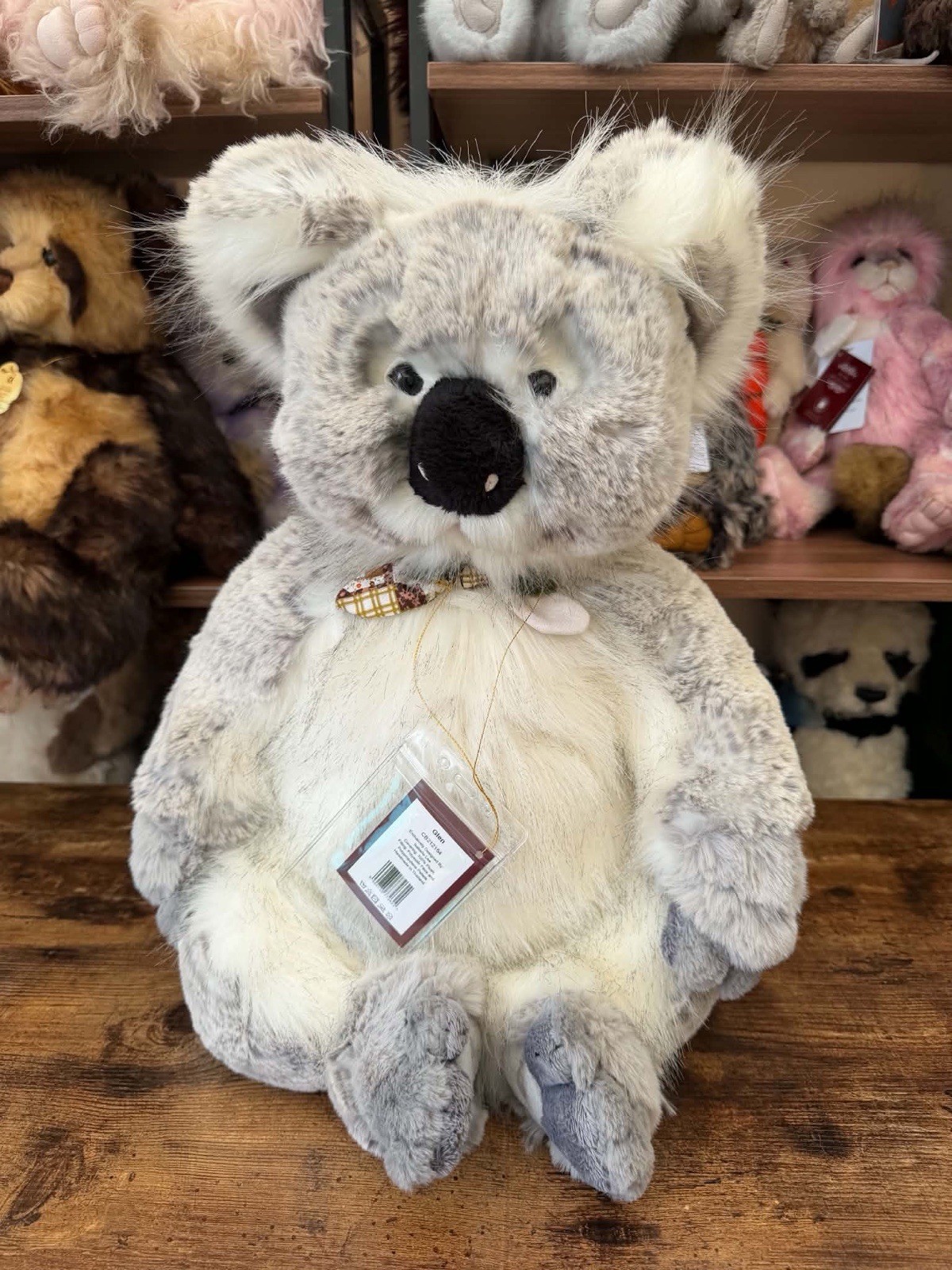 charlie bears glen Koala