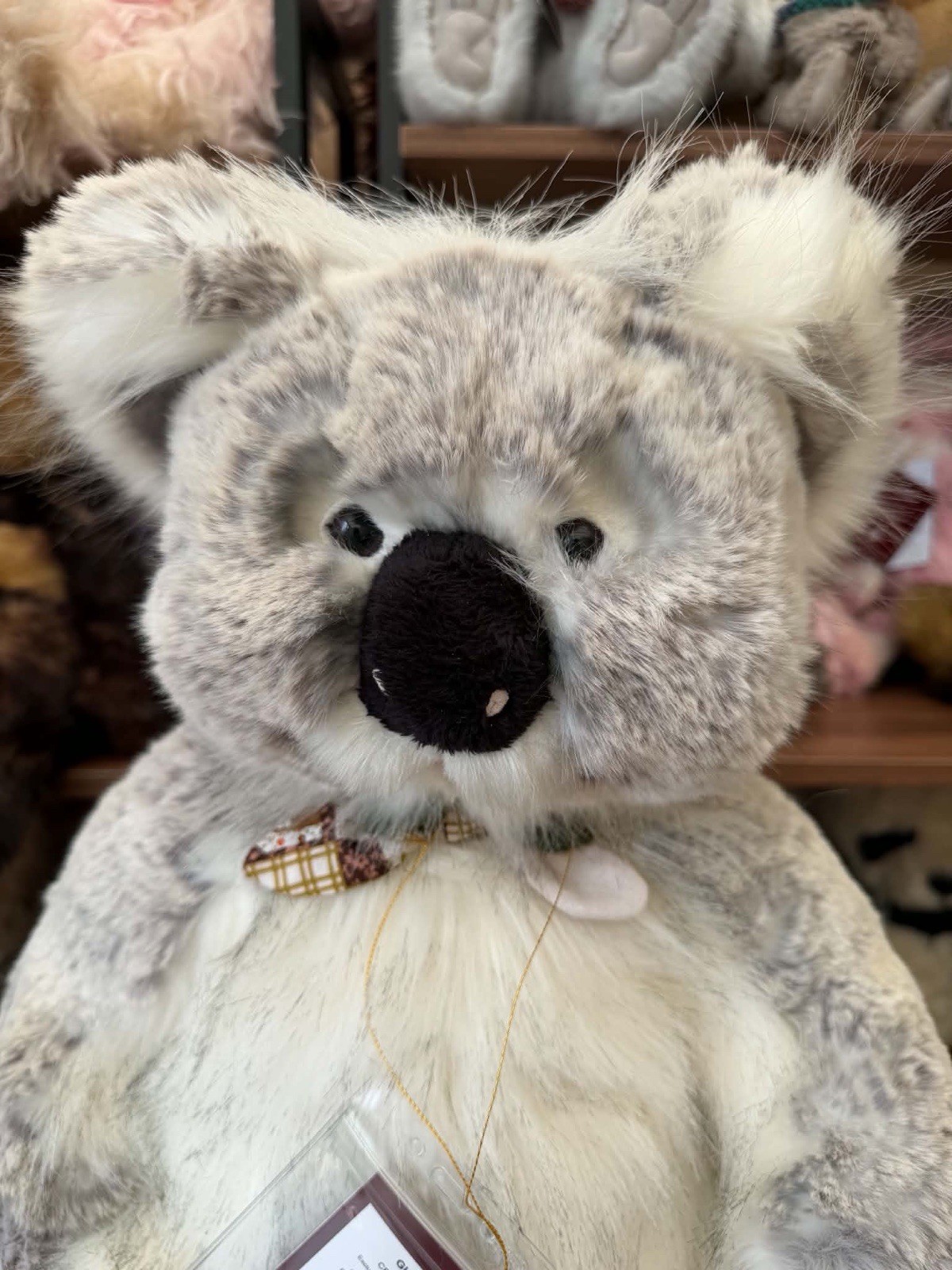 charlie bears glen Koala - Image 2