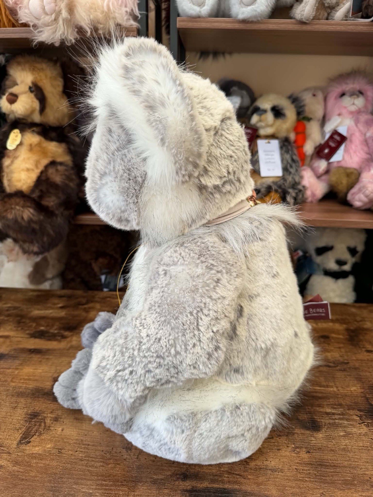 charlie bears glen Koala - Image 3