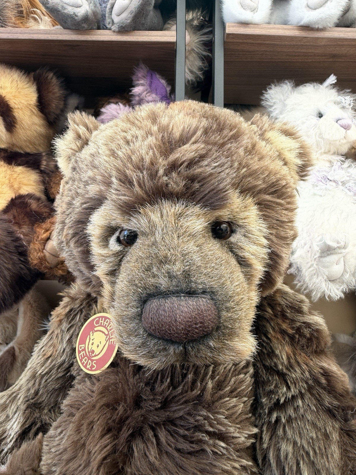 Charlie Bears 🌟ORIGINAL WOJTEK🌟 A VERY SPECIAL BEAR - Image 2
