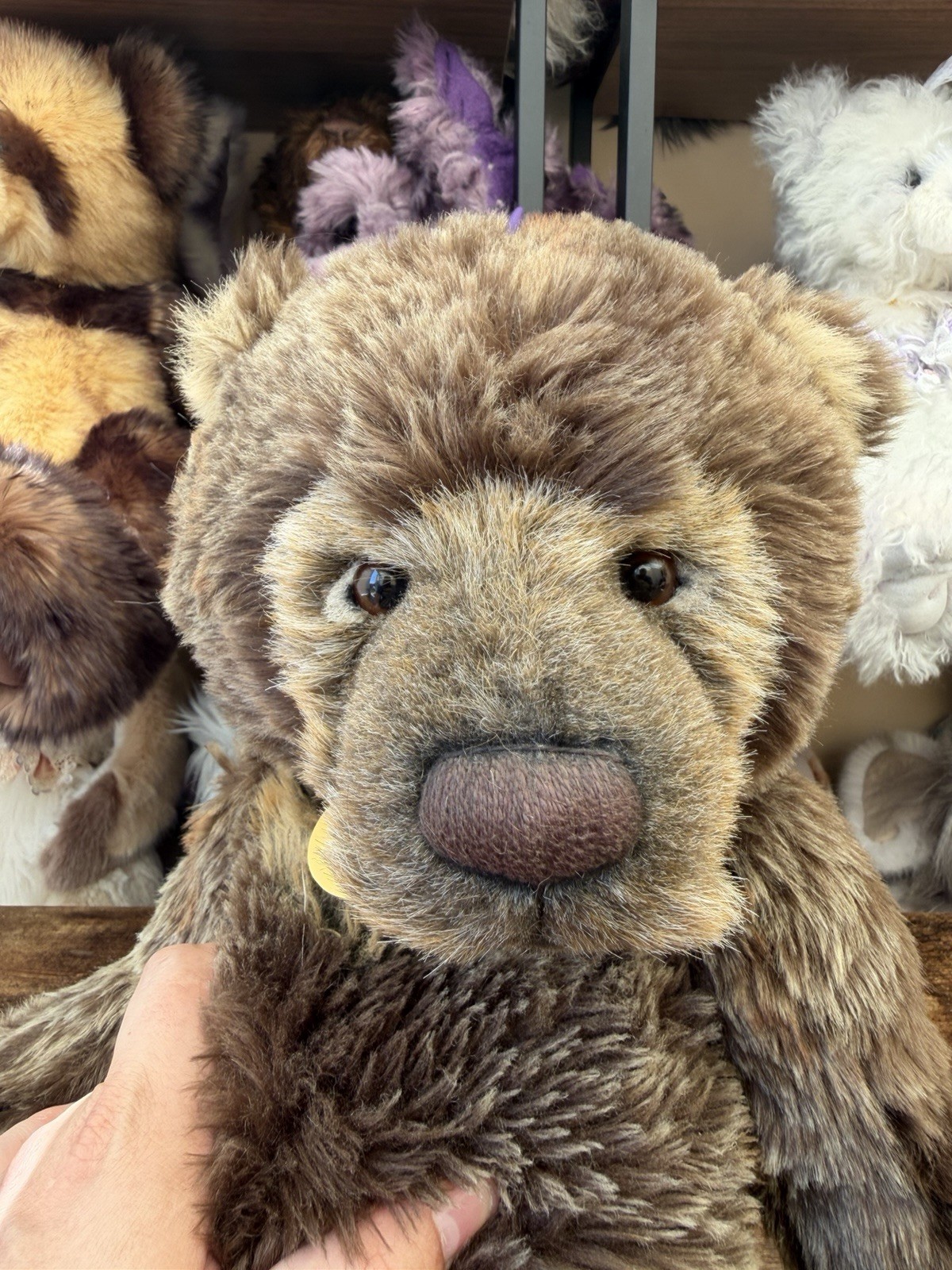 Charlie Bears 🌟ORIGINAL WOJTEK🌟 A VERY SPECIAL BEAR - Image 7
