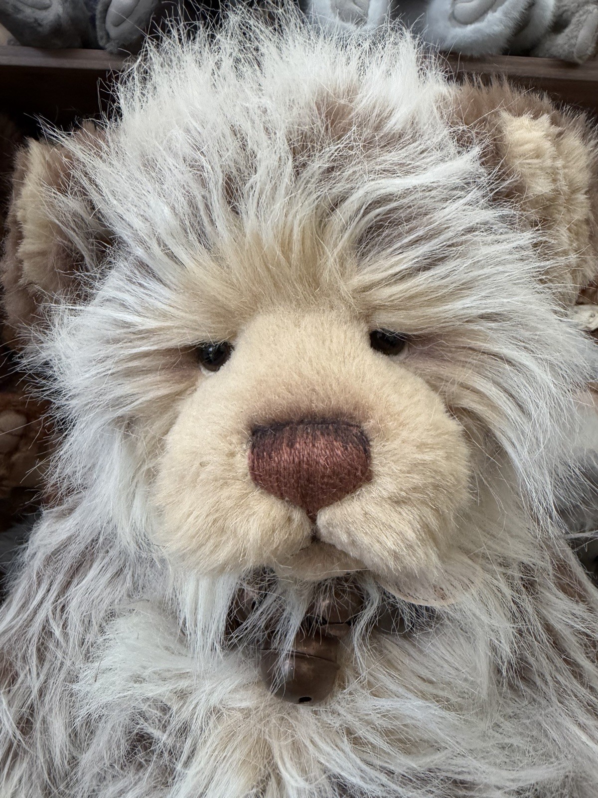 Charlie Bears - Donnie - Retired - 2011 - Image 2