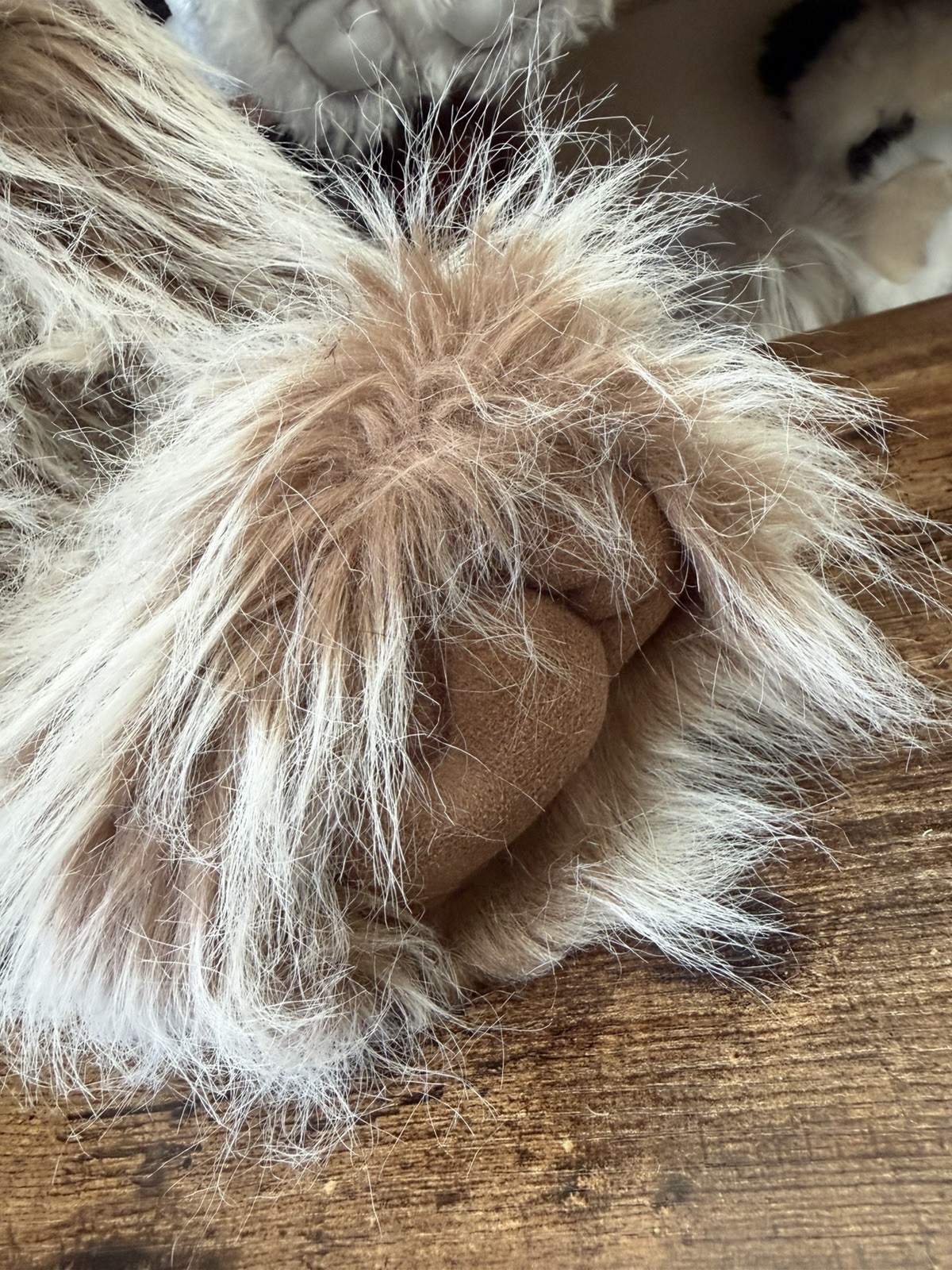 Charlie Bears - Donnie - Retired - 2011 - Image 5