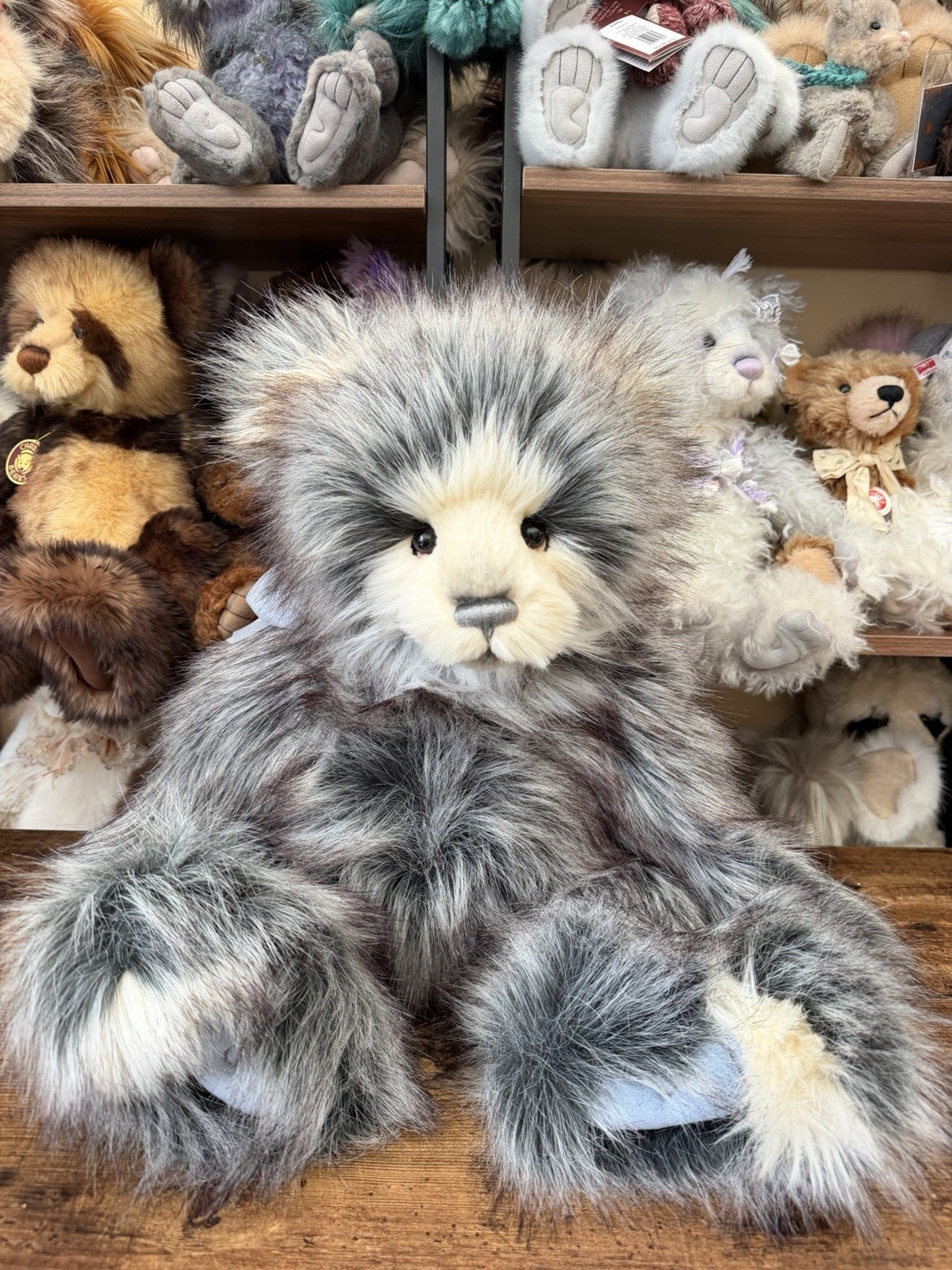 Charlie Bears Lachlan