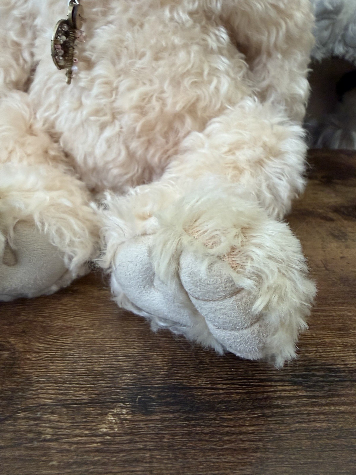 CHARLIE BEARS MOHAIR BEAR PIPE DREAM LTD TO 200 WORLDWIDE No Tags - Image 3