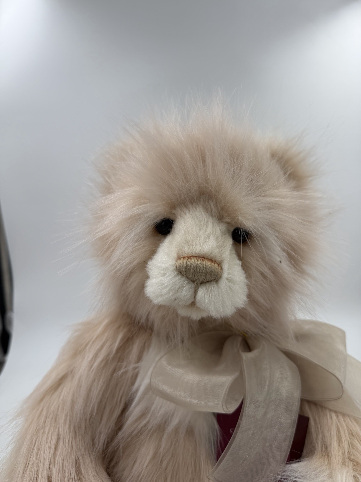 Charlie Bears Plush Teddy Bear - Donna - Plumo Collection - With Swing Labels - Image 2
