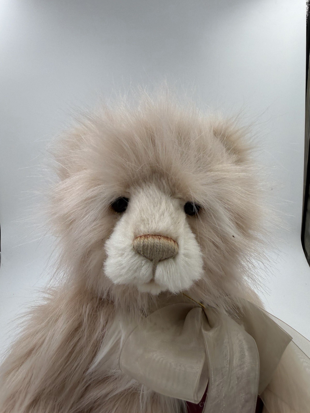 Charlie Bears Plush Teddy Bear - Donna - Plumo Collection - With Swing Labels - Image 6