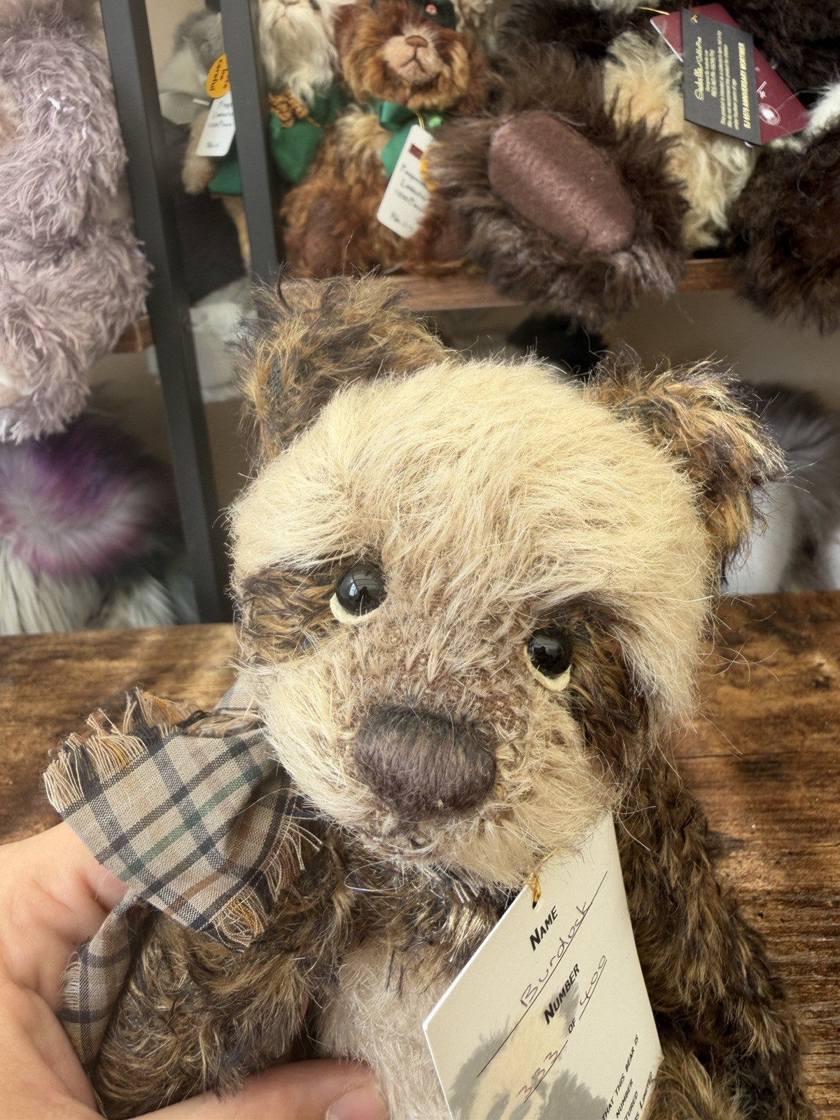 Charlie bears mohair Isabelle Lee BURDOCK Limited edition of 400 - Image 9