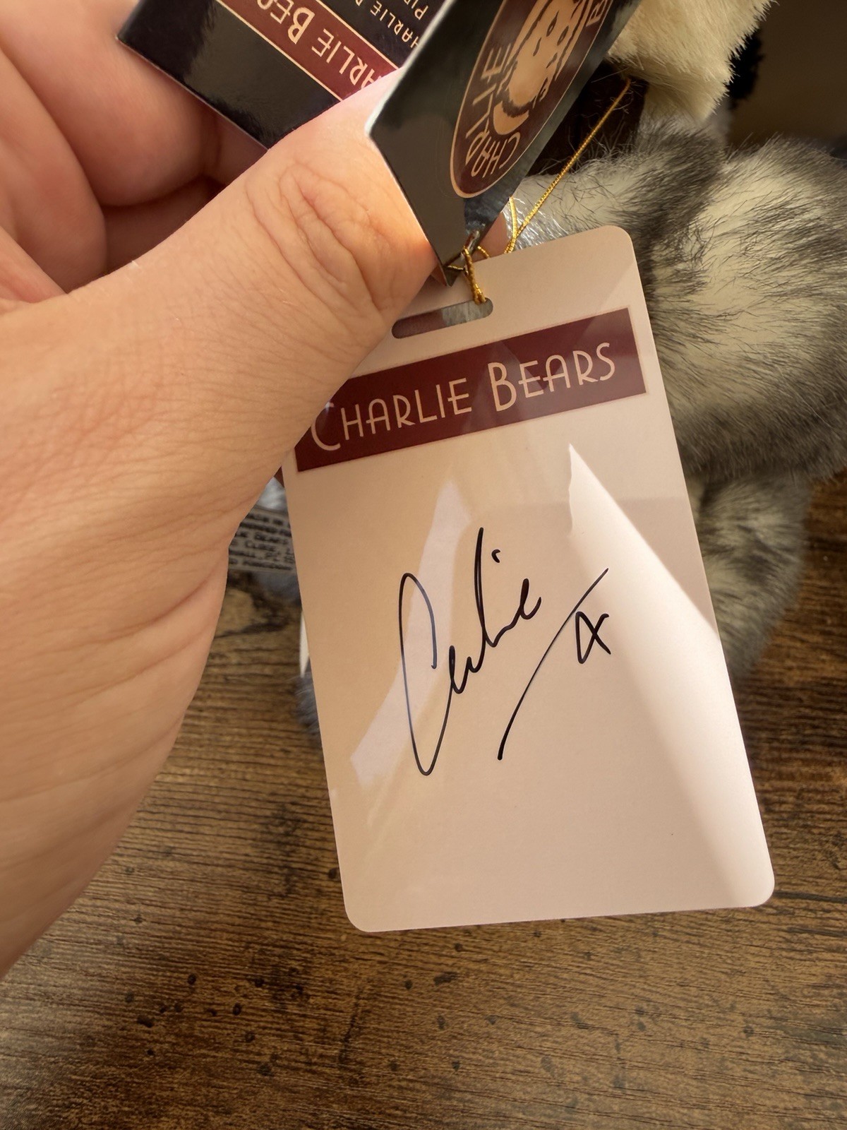 Charlie Bears Anniversary Lewis. - Image 5