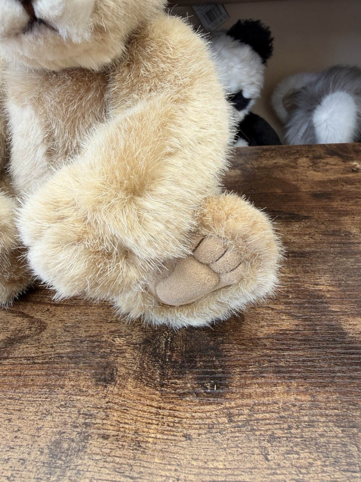 Charlie Bears Savannah Lion Isabelle Lee Retired Tagged Jointed Collectable - Image 3