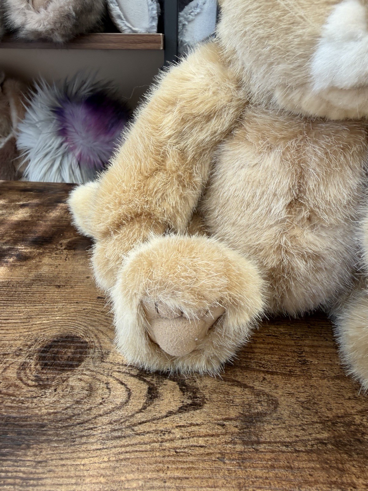 Charlie Bears Savannah Lion Isabelle Lee Retired Tagged Jointed Collectable - Image 4