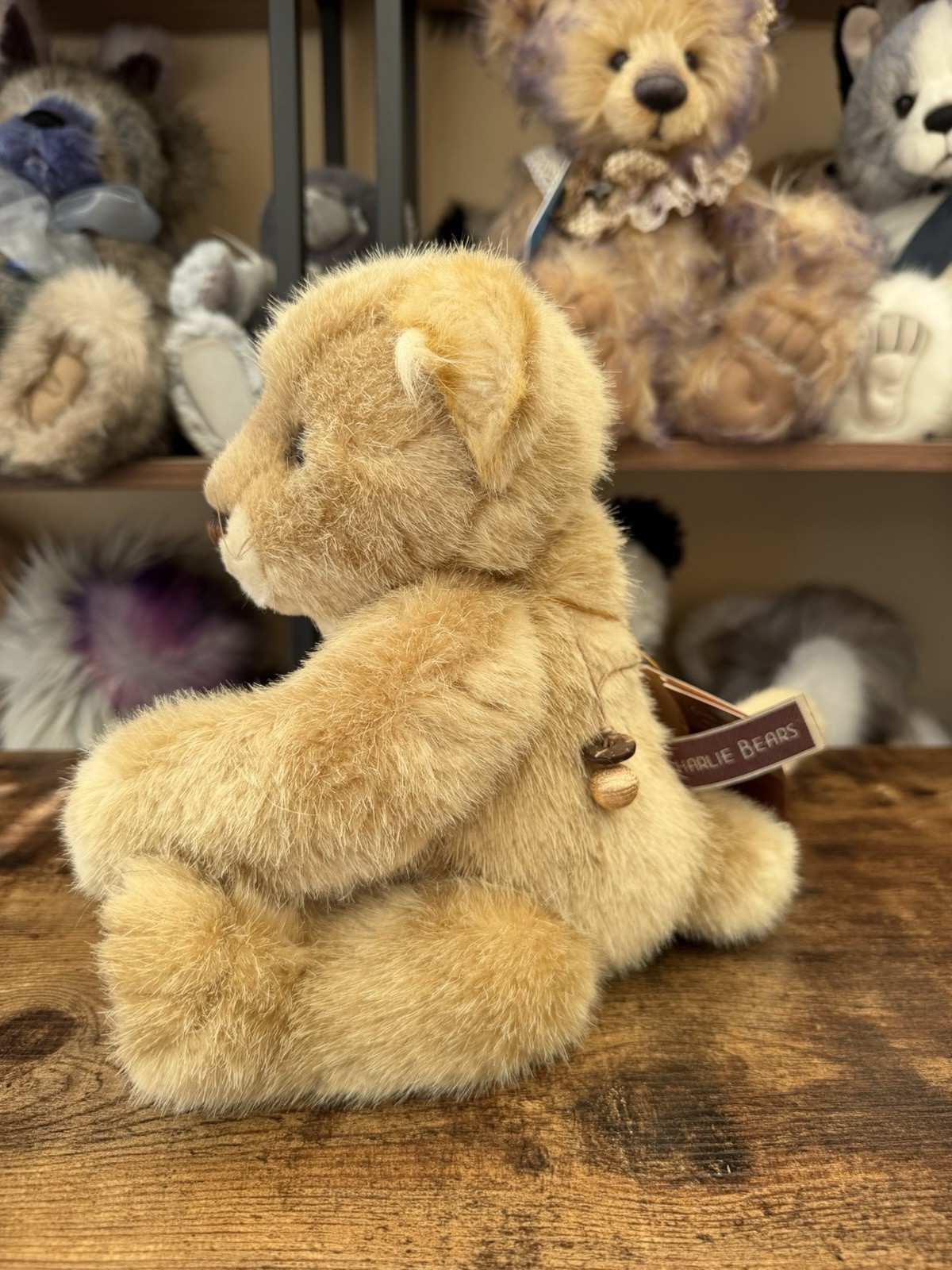 Charlie Bears Savannah Lion Isabelle Lee Retired Tagged Jointed Collectable - Image 8