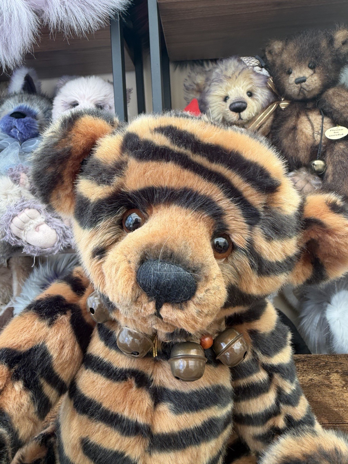 Charlie Bears Shardul Plush Teddy Bear CB125150 With Tags Rare Retired Ltd Ed - Image 2