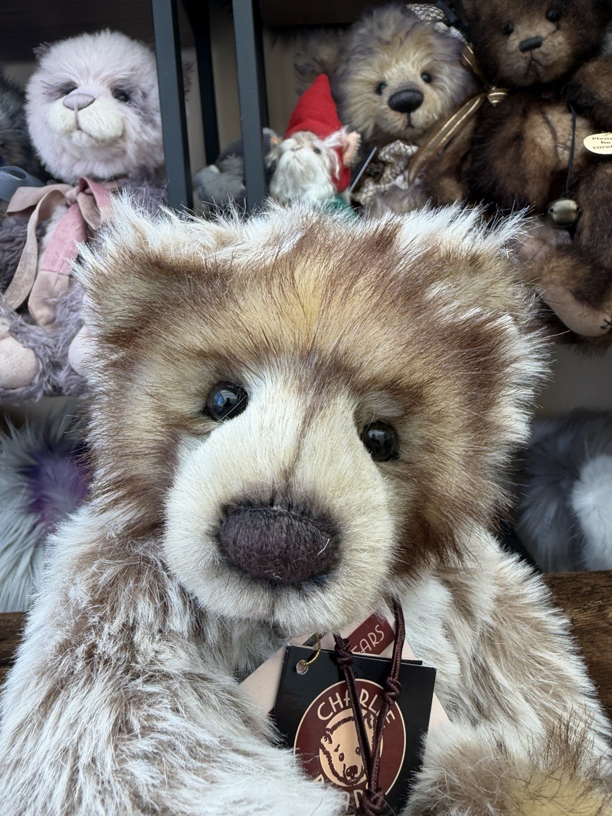 Charlie Bears 10th Anniversary Birthday Bear Diesel Limited Edition with Tags - Image 2