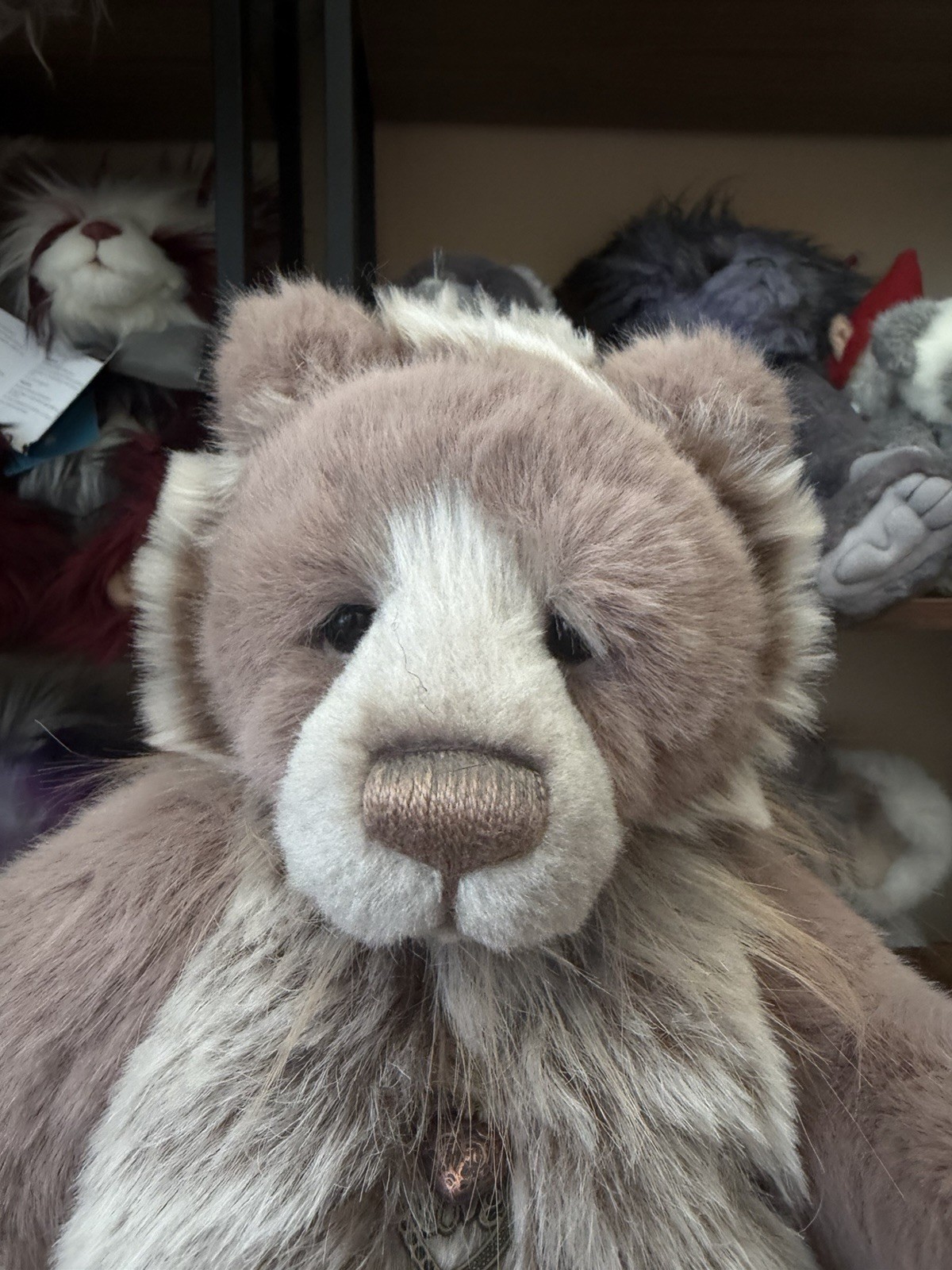 Charlie Bear - MOLLY CODDLE No Tags - Image 2