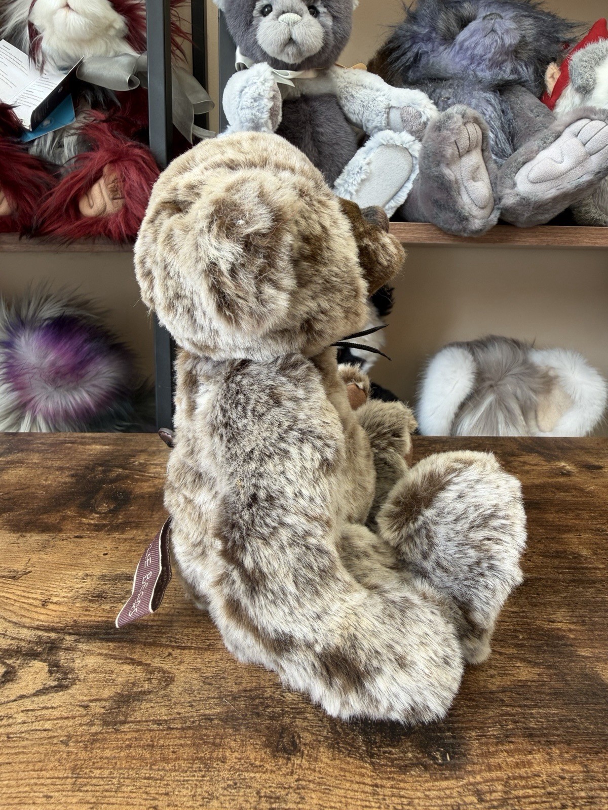 Charlie Bears Jooles Teddy Plush Soft Toy - Image 4