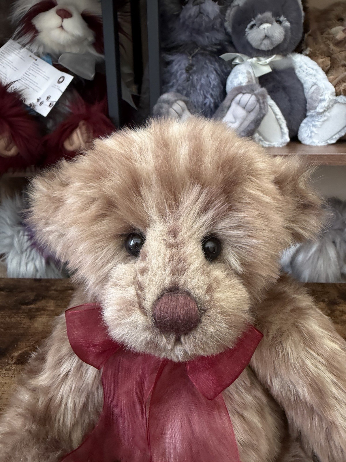 Retired Charlie Bears Reddy. Size 32cm. In Excellent Condition - Image 8
