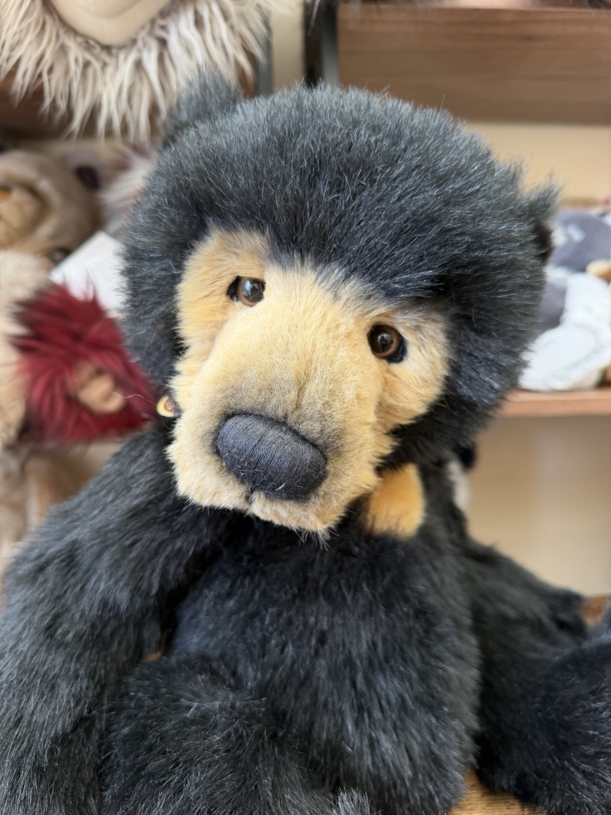Charlie Bears Seth CB194202 Isabelle Lee Plush Teddy Bear Retired Tags Necklace - Image 2