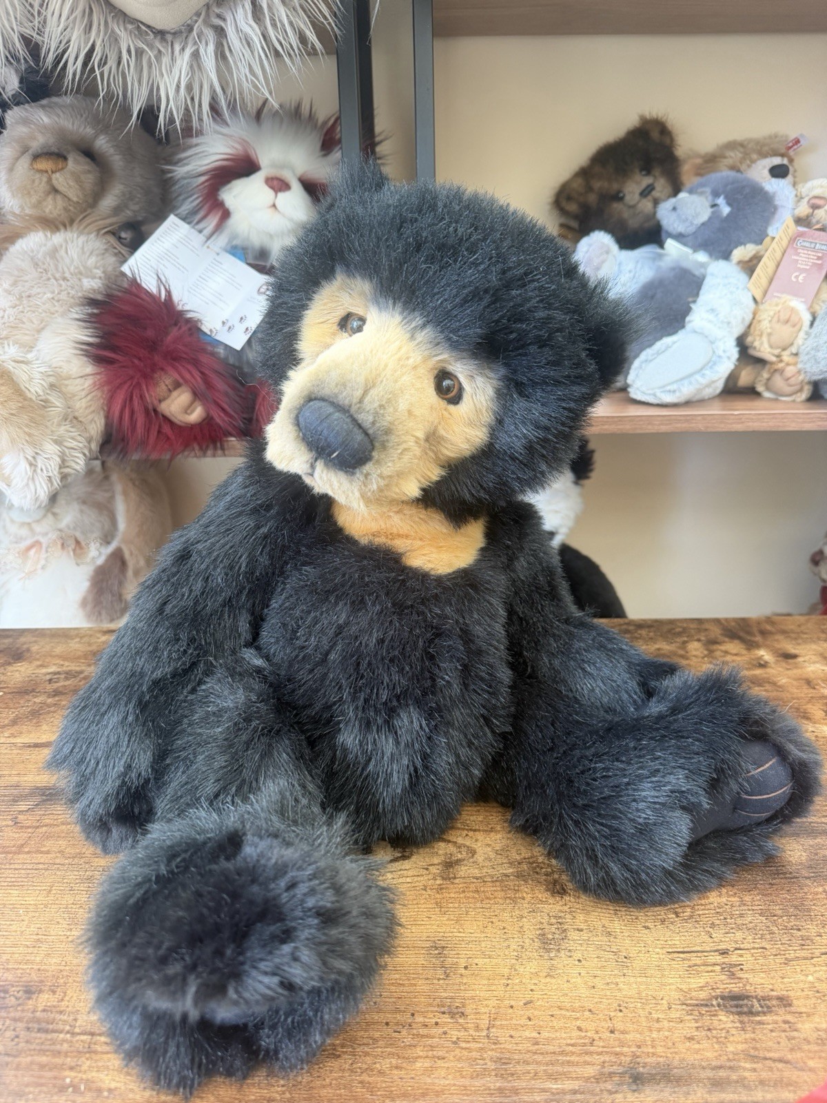 Charlie Bears Seth CB194202 Isabelle Lee Plush Teddy Bear Retired Tags Necklace - Image 4