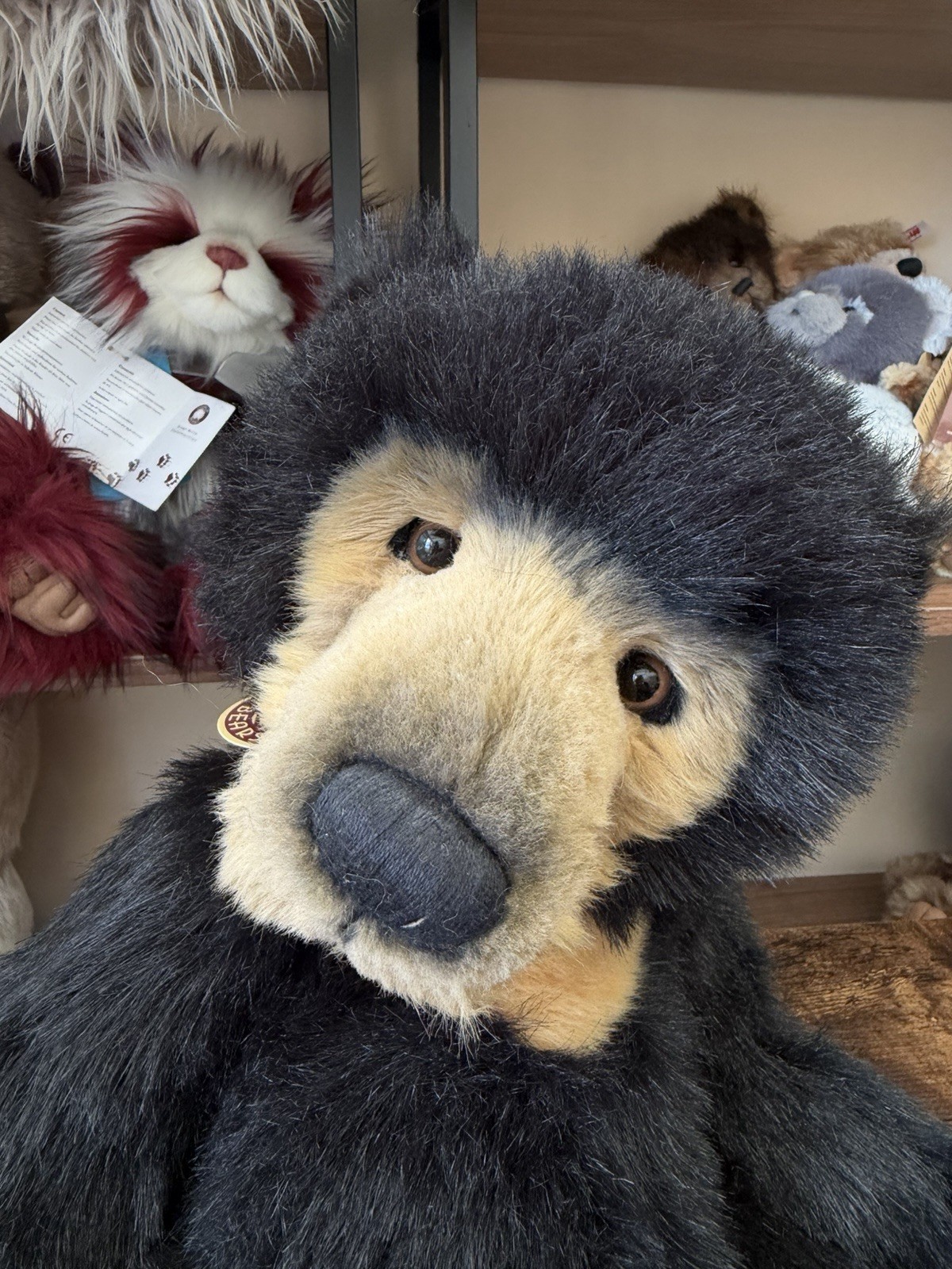 Charlie Bears Seth CB194202 Isabelle Lee Plush Teddy Bear Retired Tags Necklace - Image 5