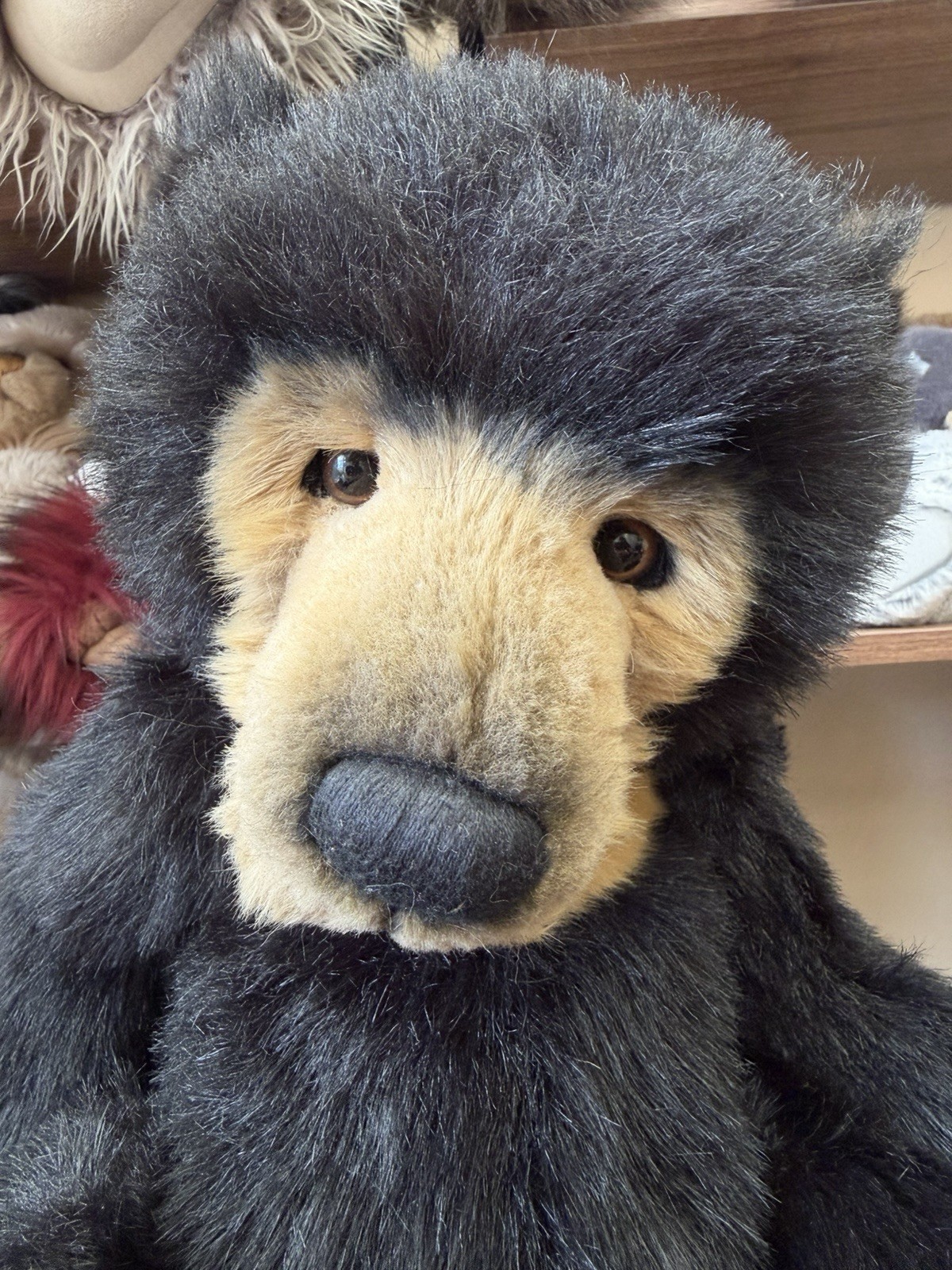 Charlie Bears Seth CB194202 Isabelle Lee Plush Teddy Bear Retired Tags Necklace - Image 12