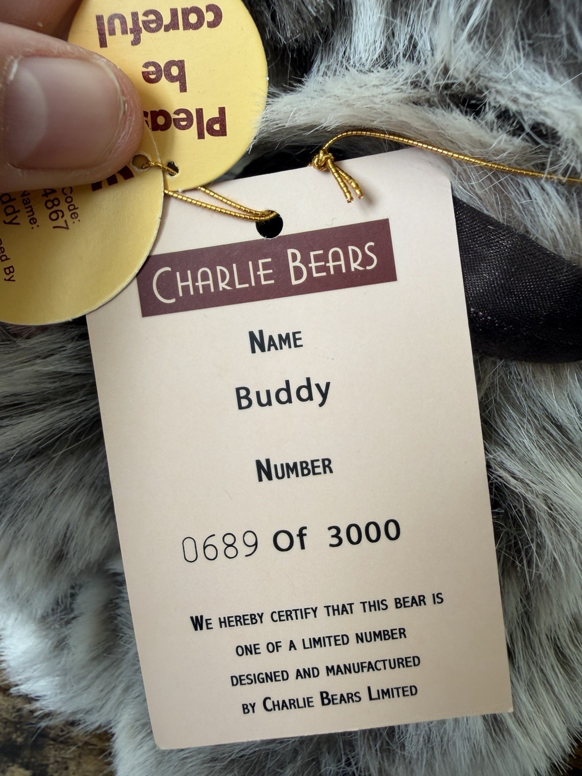 CHARLIE BEARS BUDDY SPECIAL EDITION WITH TAGS WITH RIBBON/BELL RATTLE - Image 6