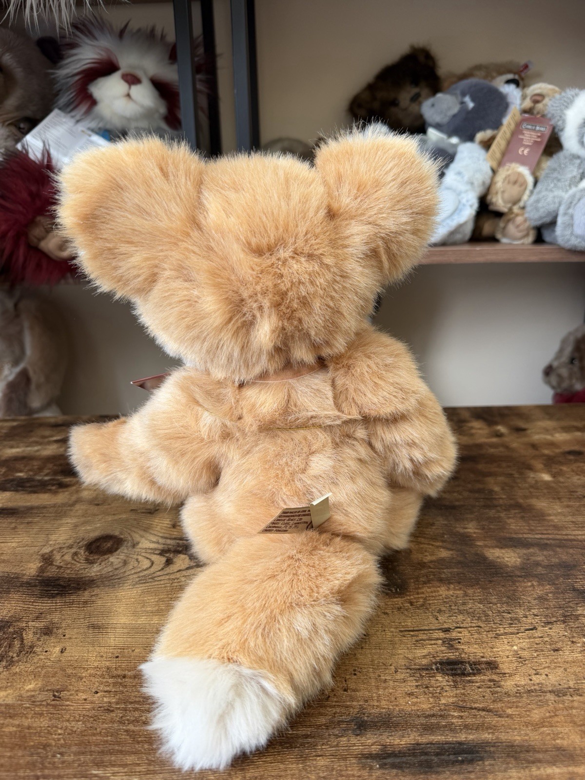 Charlie Bear FERNANDO Fox Retired with Tags Rare - Image 5