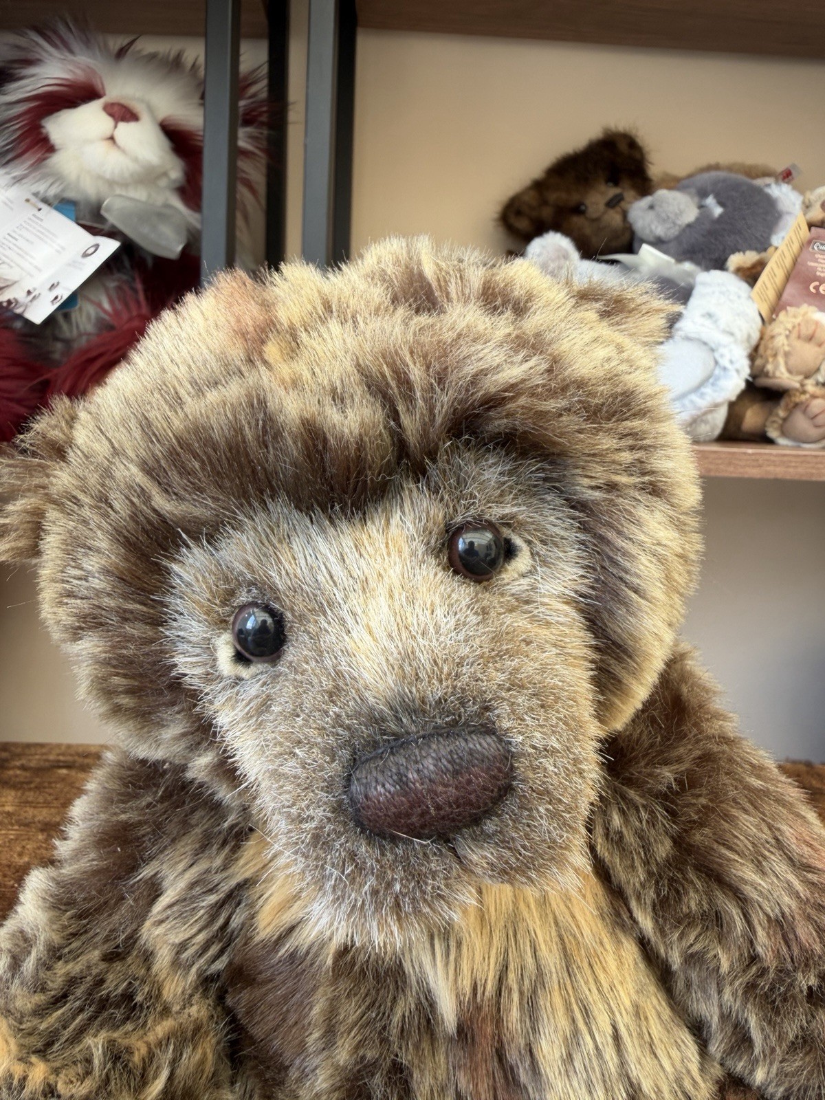 Charlie Bear Birthday Wojtek - Image 8