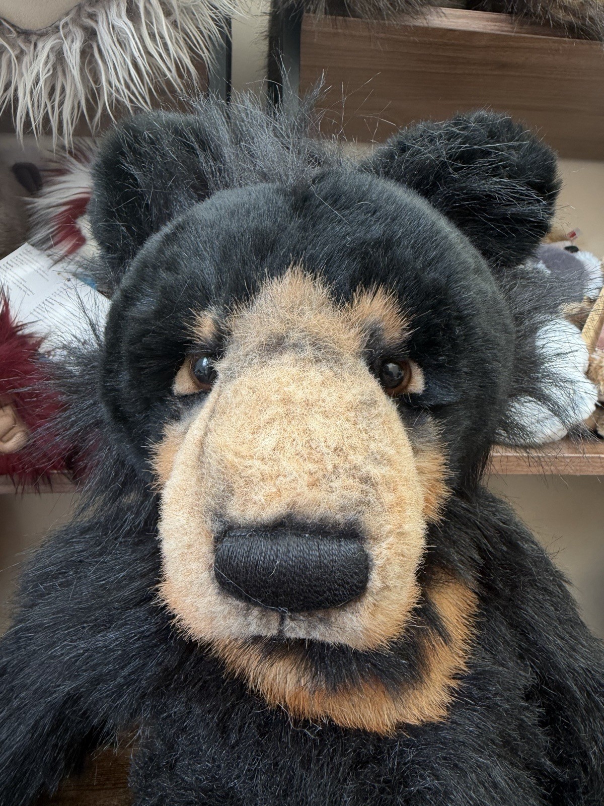 Charlie Bears Malcolm Teddy Bear Retired Tagged Isabelle Lee Designed - Image 2