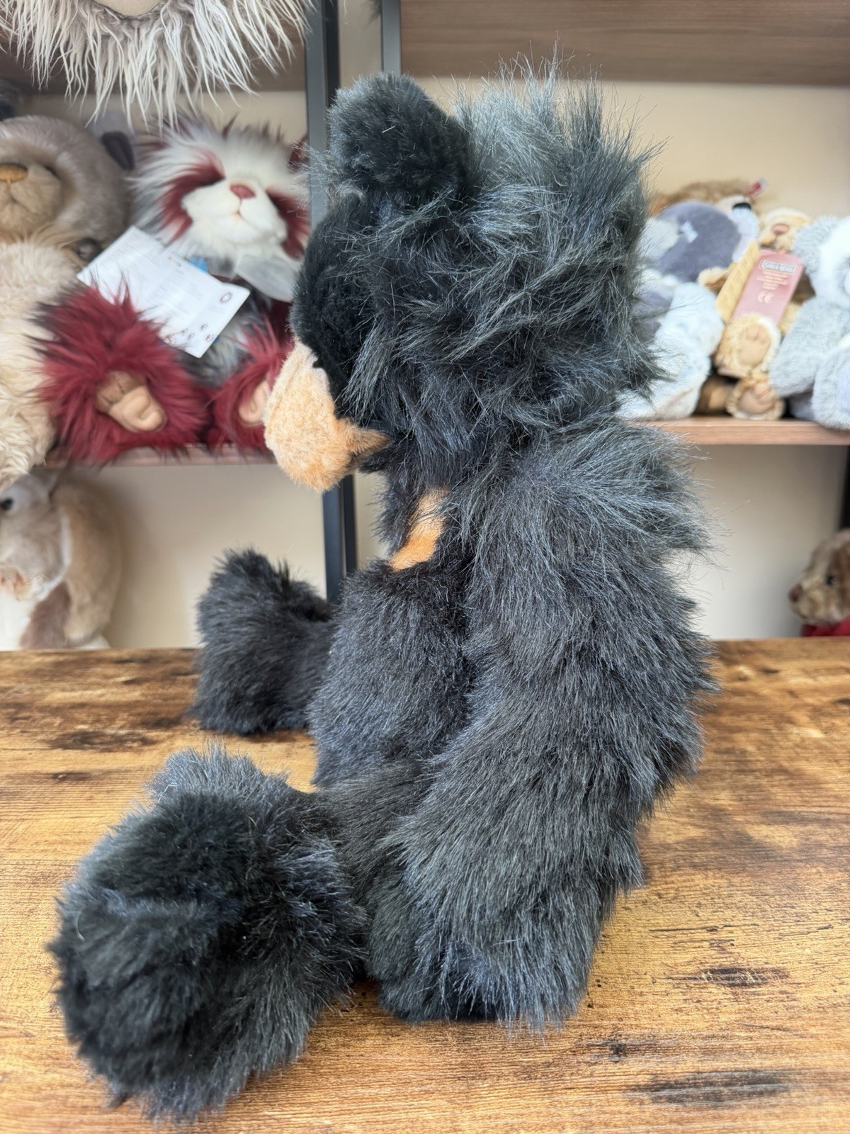 Charlie Bears Malcolm Teddy Bear Retired Tagged Isabelle Lee Designed - Image 7