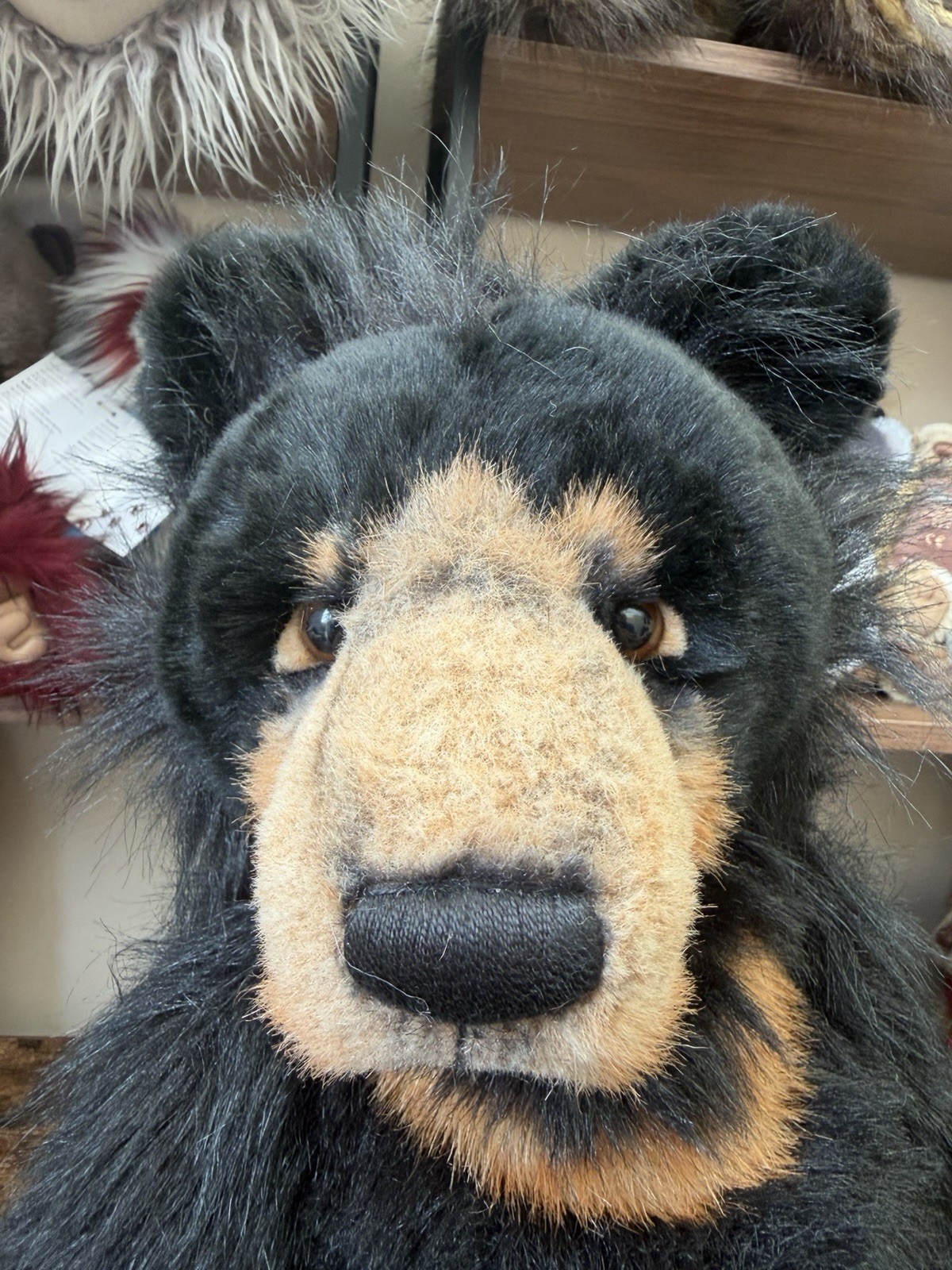 Charlie Bears Malcolm Teddy Bear Retired Tagged Isabelle Lee Designed - Image 8